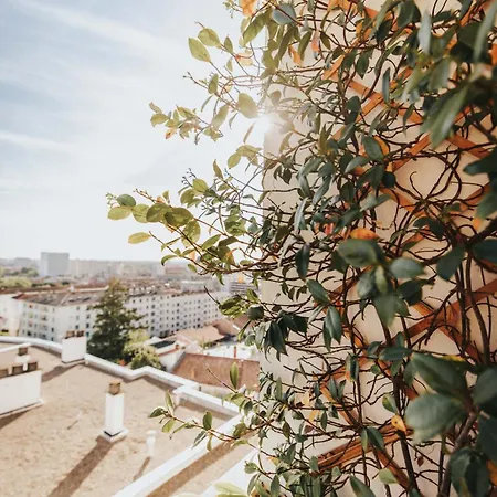 Bonaltitude - T3bis - Sérénité, Vue Sur Pyrénées Appartement